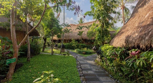 Fivelements Retreat Bali image 8