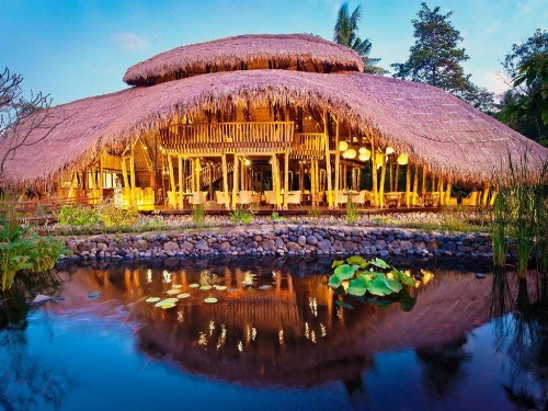 Fivelements Retreat Bali image 35